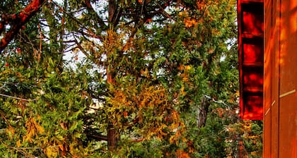 Saatavilla nyt: tähdet ja ympärillä olevat parvekkeet Rock-näkymien Natl-metsään johtava