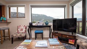 Smart TV, DVD player, books