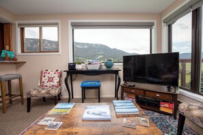 Smart TV, DVD player, books