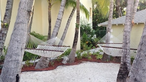 A hammock set up between palm trees in a garden area with a sandy ground.