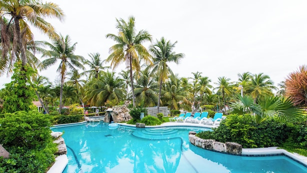 A swimming pool with blue water, surrounded by palm trees and lounge chairs.