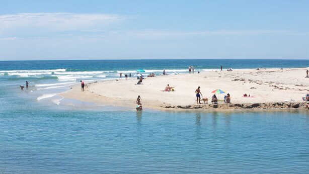 A beach with people, umbrellas, and a sandy shore.