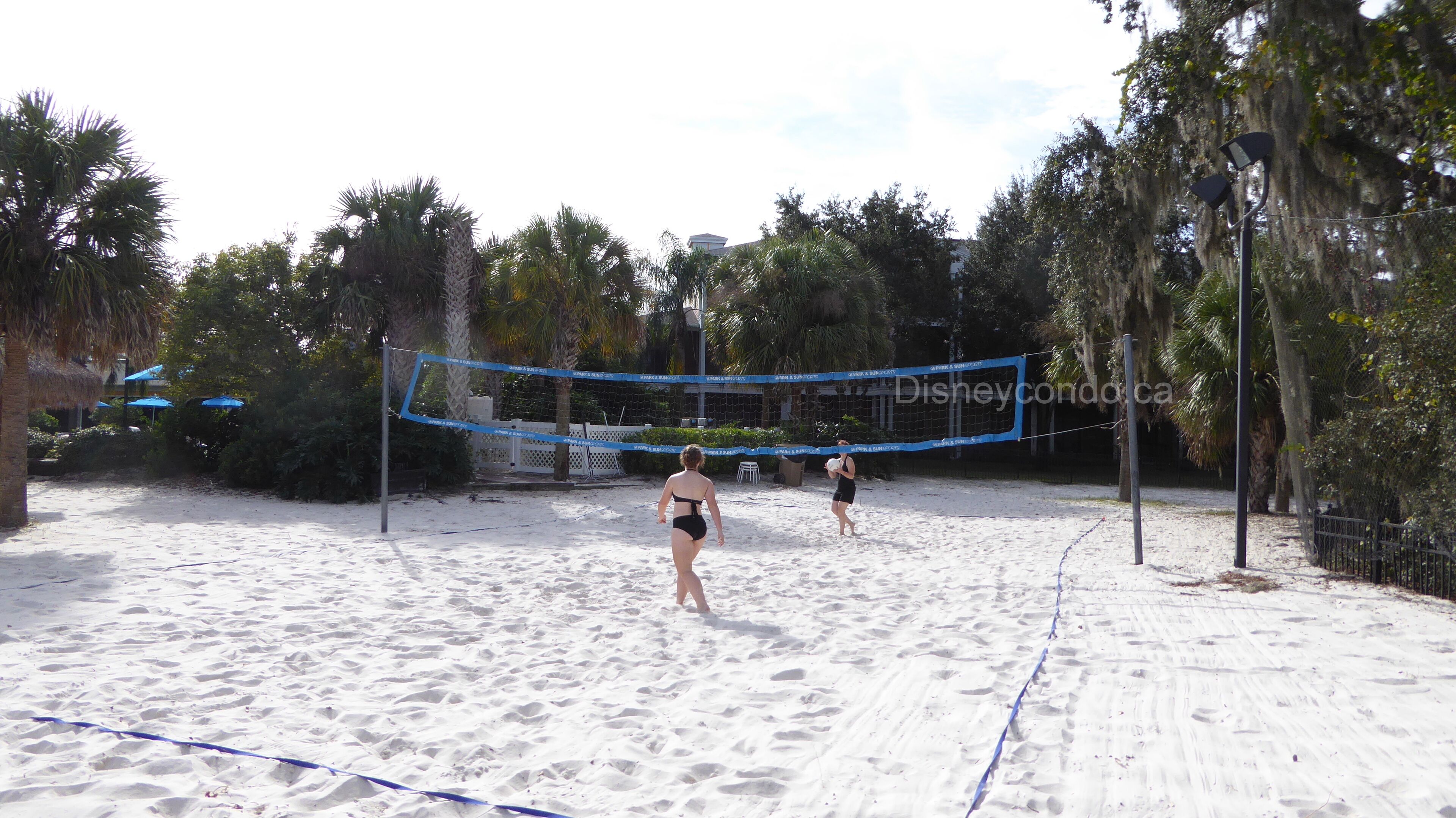 A sandy beach volleyball court with a net, surrounded by palm trees and umbrellas.