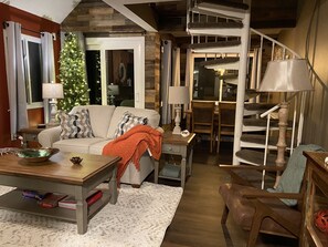 Smart TV, fireplace, books