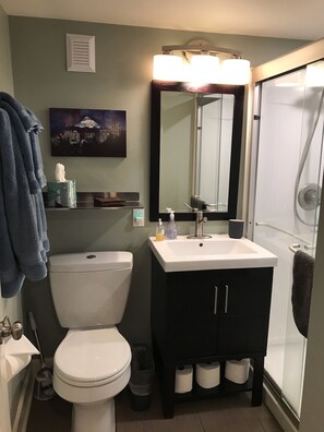 Shower, hair dryer, towels, soap