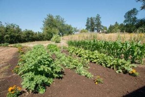 Overnattingsstedets uteområder