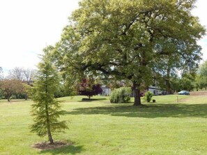 Overnattingsstedets uteområder