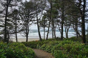 Ein Küstenpfad, gesäumt von dichter Vegetation, der zu einem Strand führt.