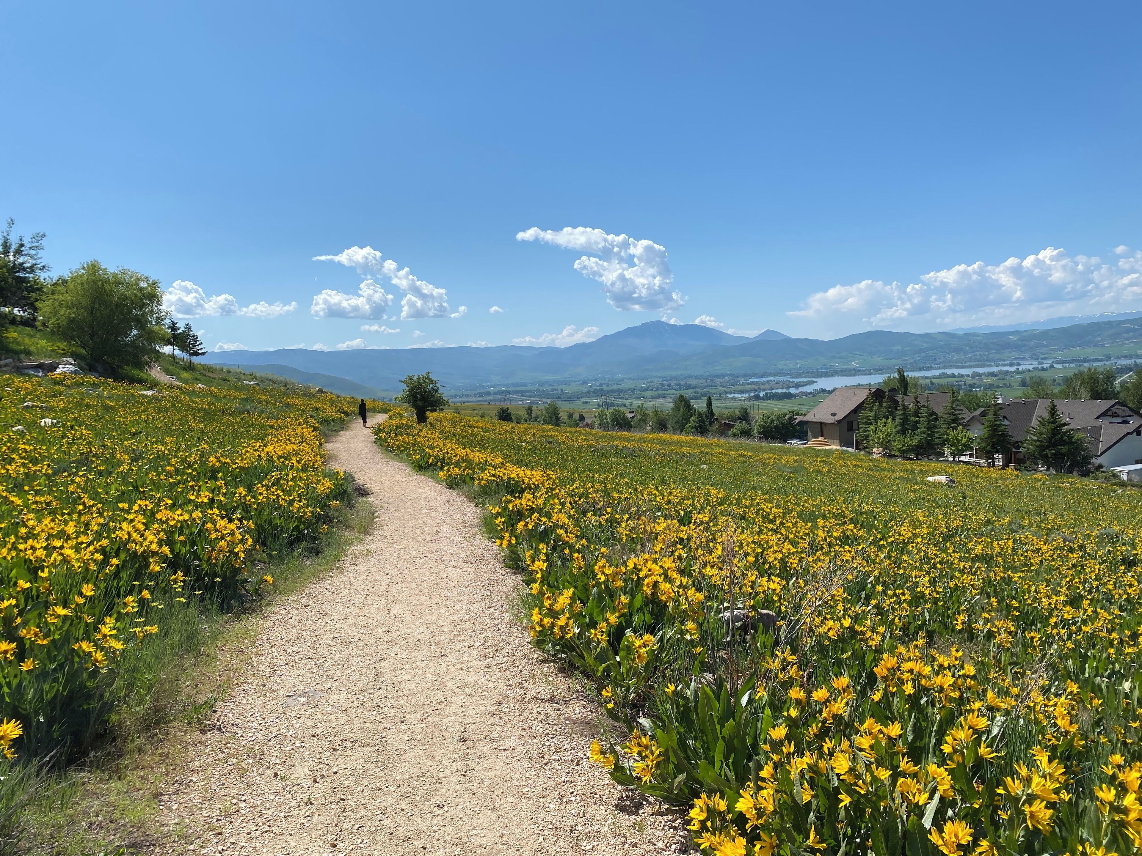 Several nearby walking trails. 