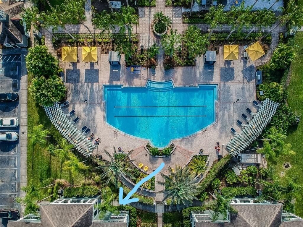 Tampa~Brandon 1st. floor Poolside condo!!! Jan cancel alert!!! Xtra 10% off$$!!!
