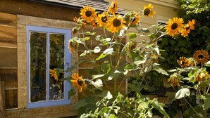 Une maison en bois avec une porte bleue et un jardin où poussent des tournesols.