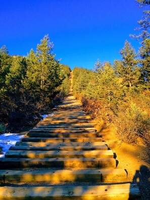 A wooden staircase leading up a hill, surrounded by trees and shrubs.