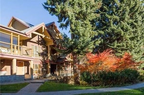 Standalone lodge surrounded by lush greenery in a natural forest setting.