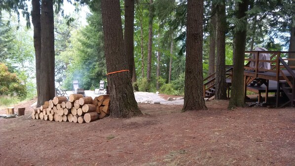 A forested area with a stack of firewood, a wooden deck, and a staircase leading up to a covered area.