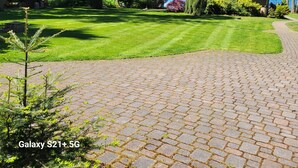 A residential property with a paved driveway, a well-maintained lawn, and a wooden cabin.