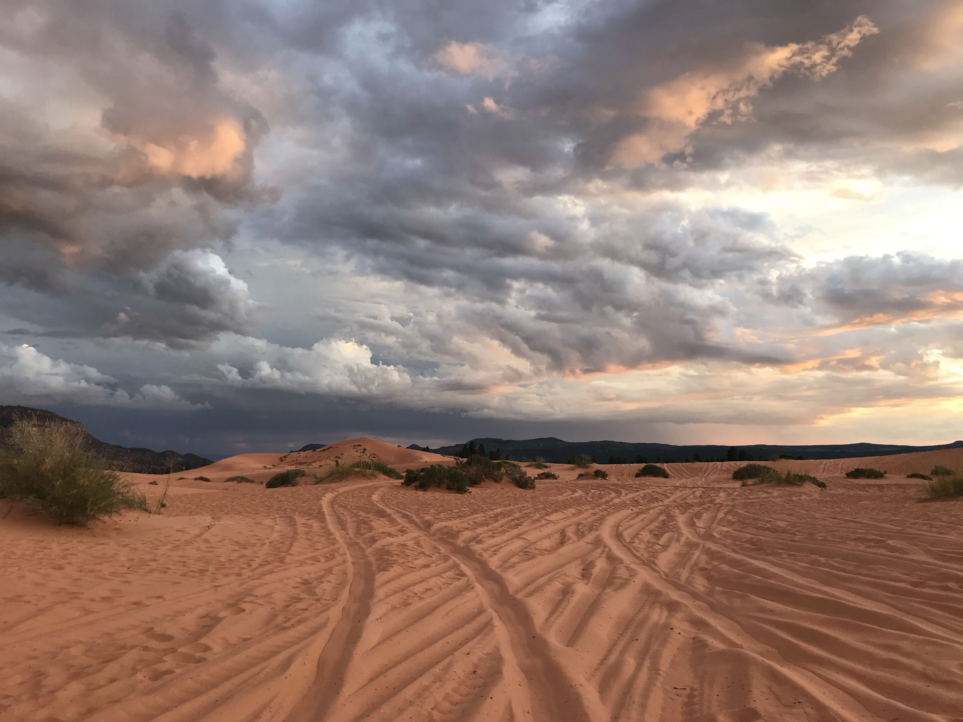 Paisaje desértico con dunas de arena y un sendero.
