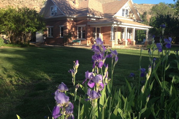 Front of house with irises in bloom.