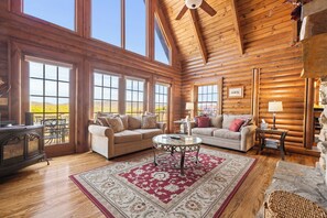 Smart TV, fireplace, DVD player, books