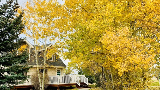 A residential area with a pathway leading to a house with a white porch.