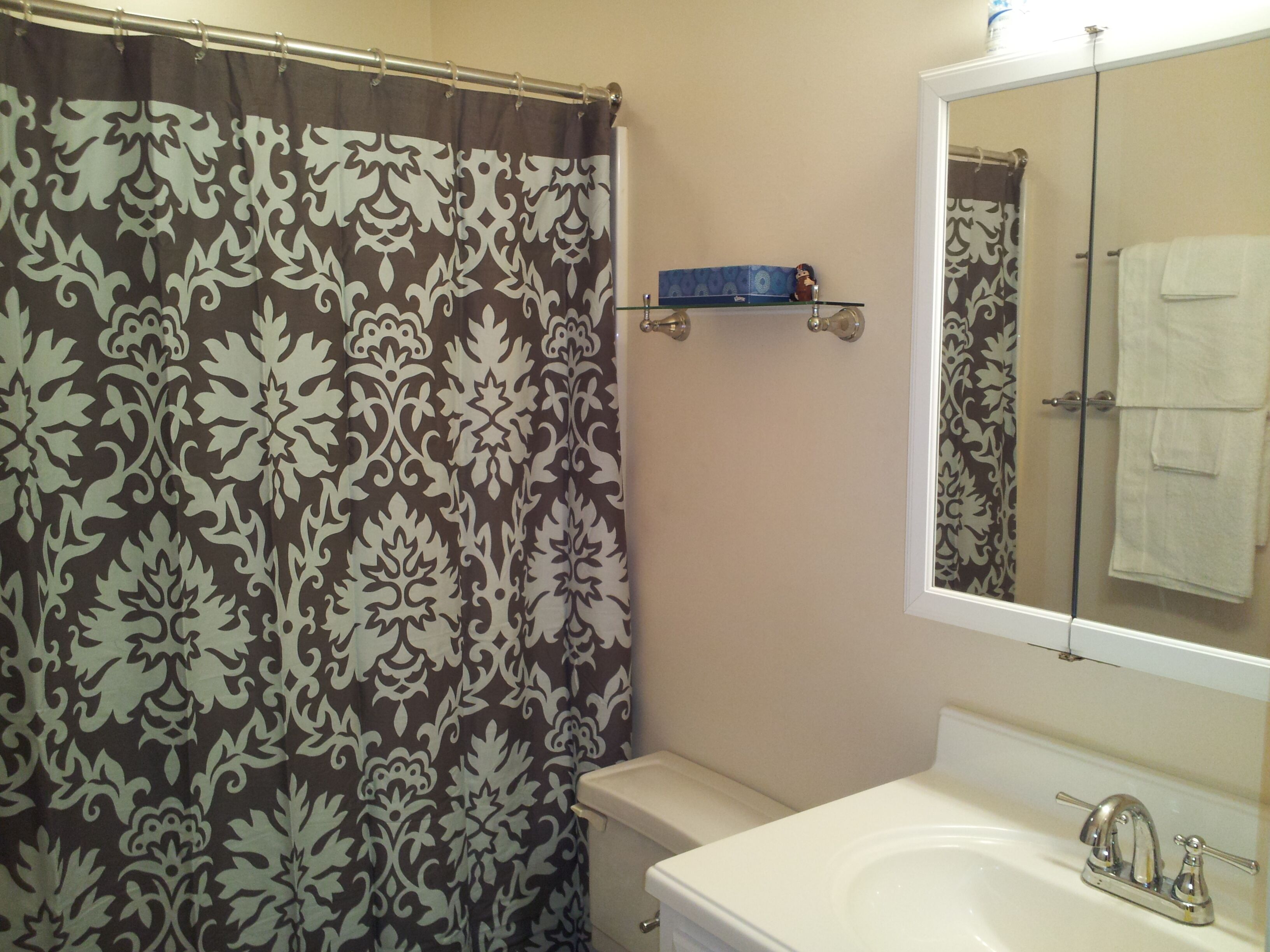 Une salle de bain avec un rideau de douche, des toilettes, un lavabo et un miroir au-dessus du lavabo.