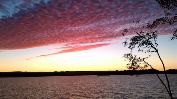 A sunset over a body of water with a tree silhouetted against the sky.