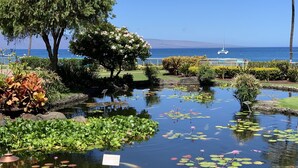 Un étang paisible, parsemé de nénuphars et abritant des carpes koï, entouré d’une végétation luxuriante et offrant une vue dégagée sur l’océan.