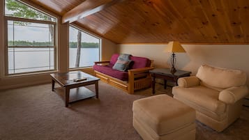 Smart TV, fireplace, DVD player