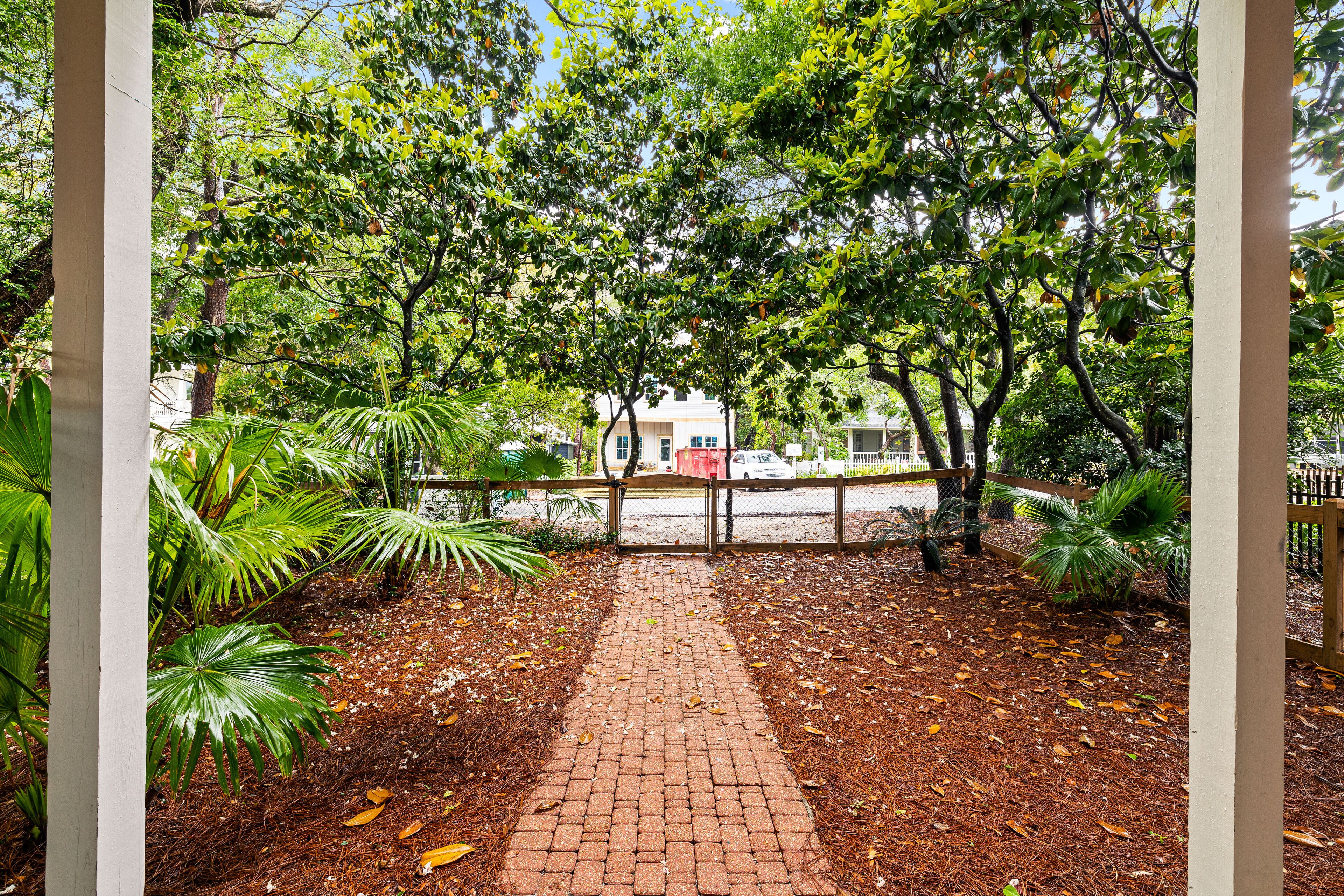 A paved pathway leading to a building surrounded by lush greenery and trees.