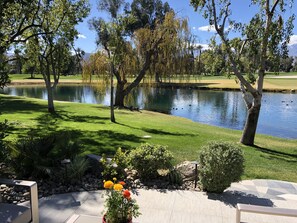 A serene outdoor area with a pond, trees, and a well-maintained lawn.
