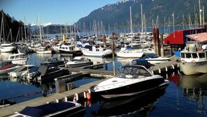 Un port de plaisance avec des bateaux amarrés, un quai et une montagne en arrière-plan.