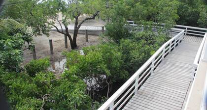 OBLSA Villa # 232 3Bed 3.5 Bath