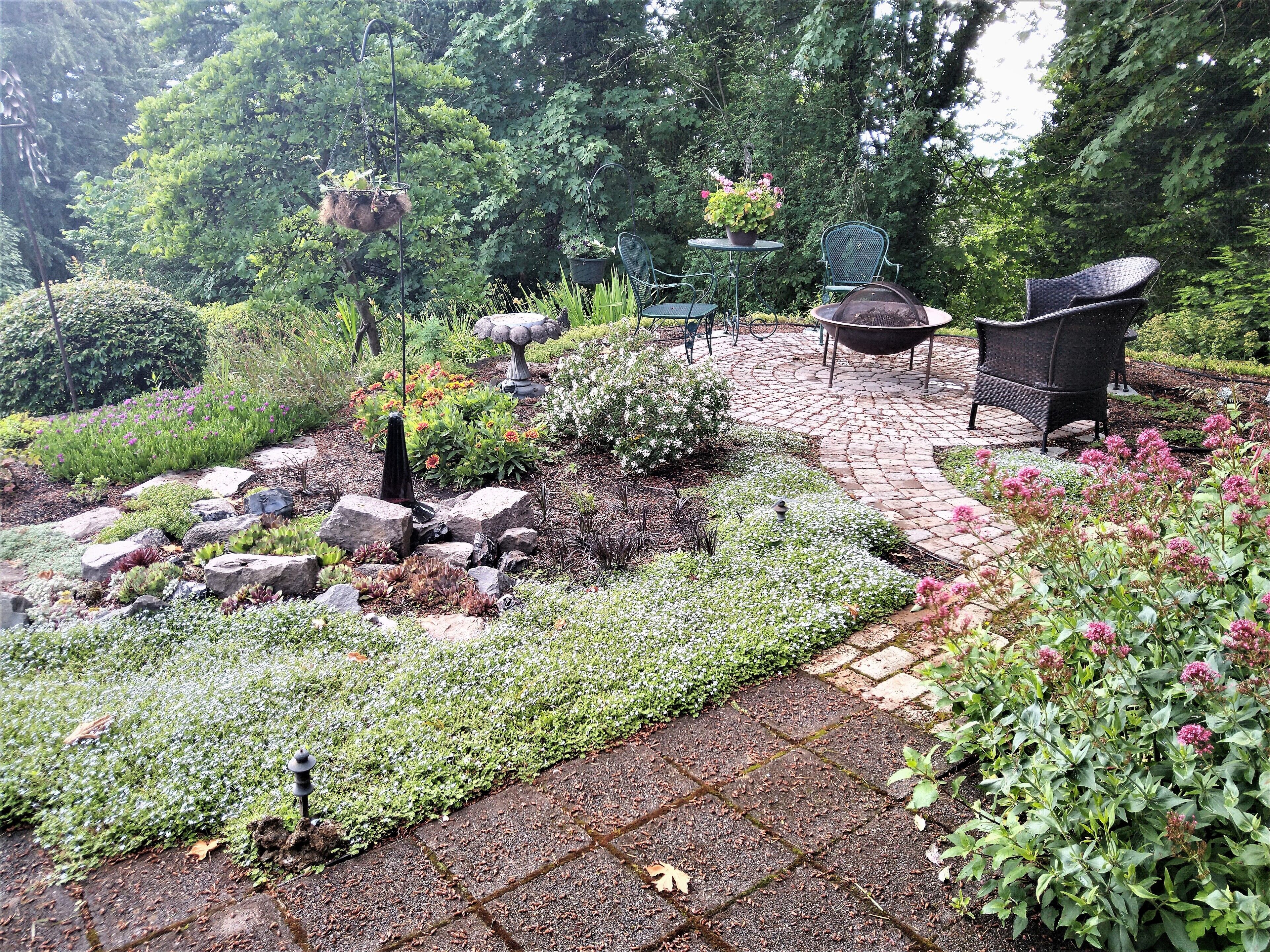 Private, comfortable, Hillsdale Apartment