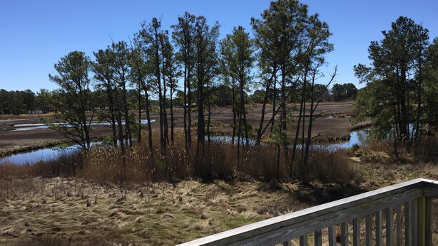 A wooden deck overlooking a natural landscape with trees and a water body.