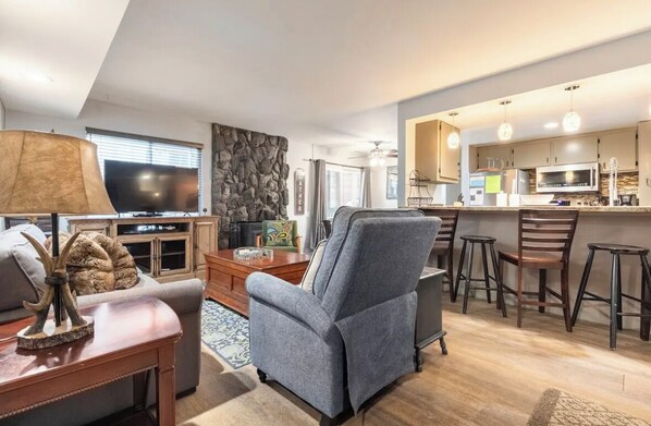 Télévision, cheminée, jeux vidéo, lecteur de DVD