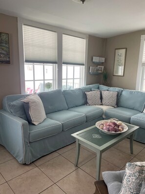 Smart TV, reproductor de DVD y libros 