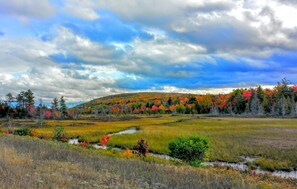Un paysage comprenant une rivière, des arbres et une colline.