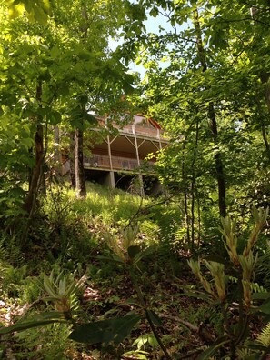 Property grounds - Purple Haze: Log Cabin, near Blue Ridge Pky, spectacular views and hot tub (Boone)