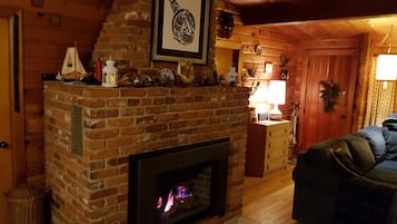 Télévision, cheminée, lecteur de DVD, livres