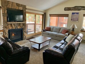 Televisio, takka, DVD-soitin, kirjoja