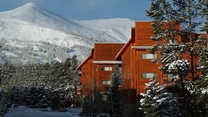 Un edificio moderno de madera con varios balcones, rodeado de árboles nevados y una montaña al fondo.