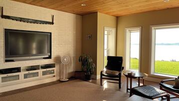 TV, video games, DVD player, books