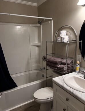 Shower, towels, toilet paper