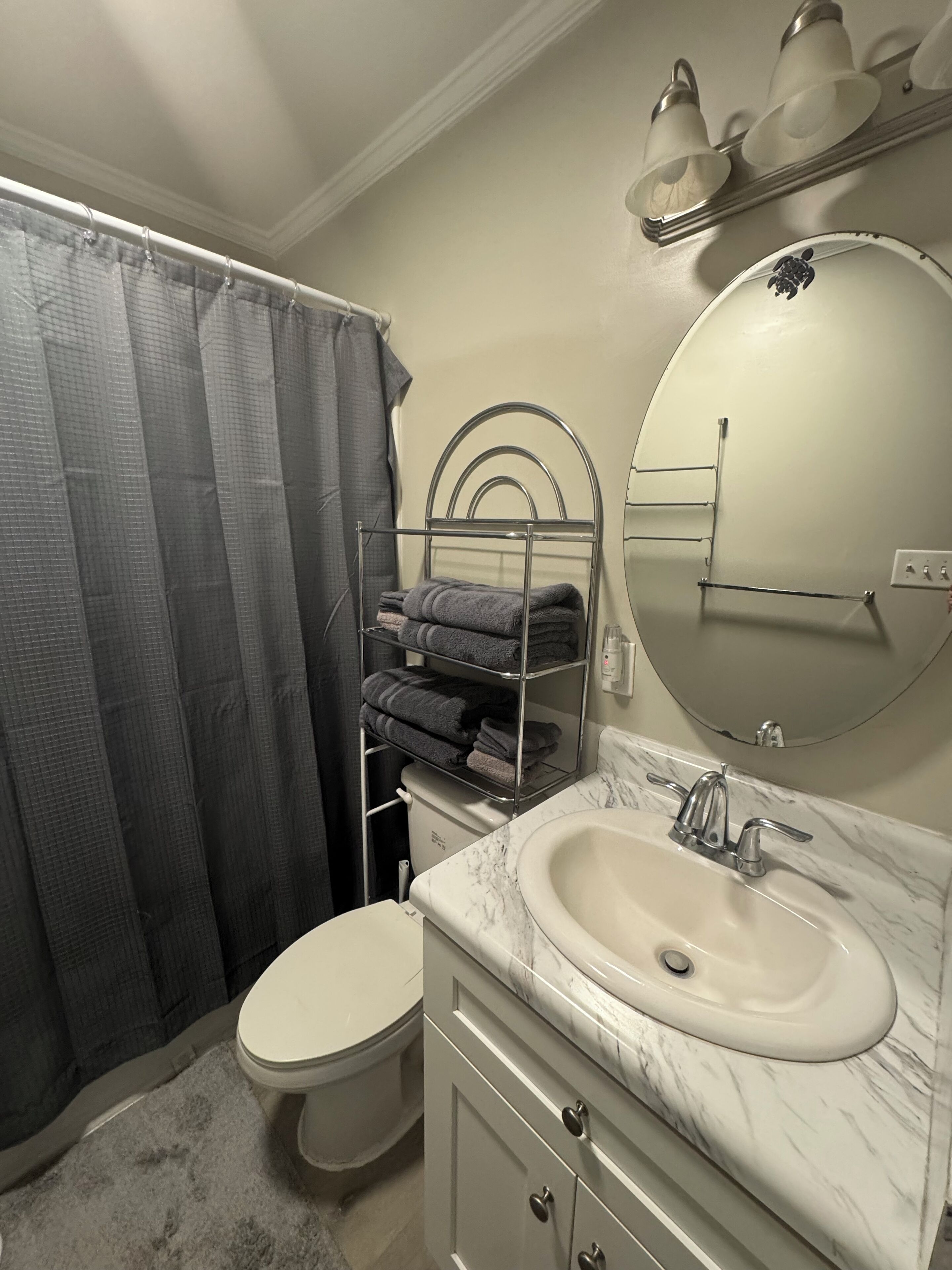 Shower, towels, toilet paper