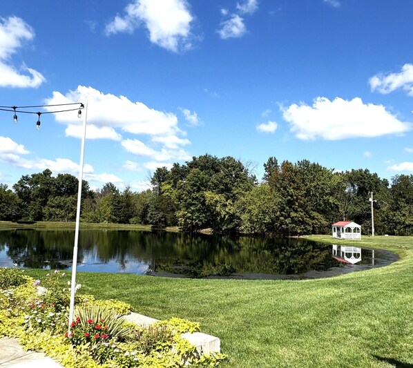 Property grounds - Glenn Acres Farm, Fishing and Relaxing, a Place Everyone Loves! (Columbia)