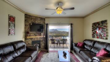 Smart TV, fireplace, DVD player, books