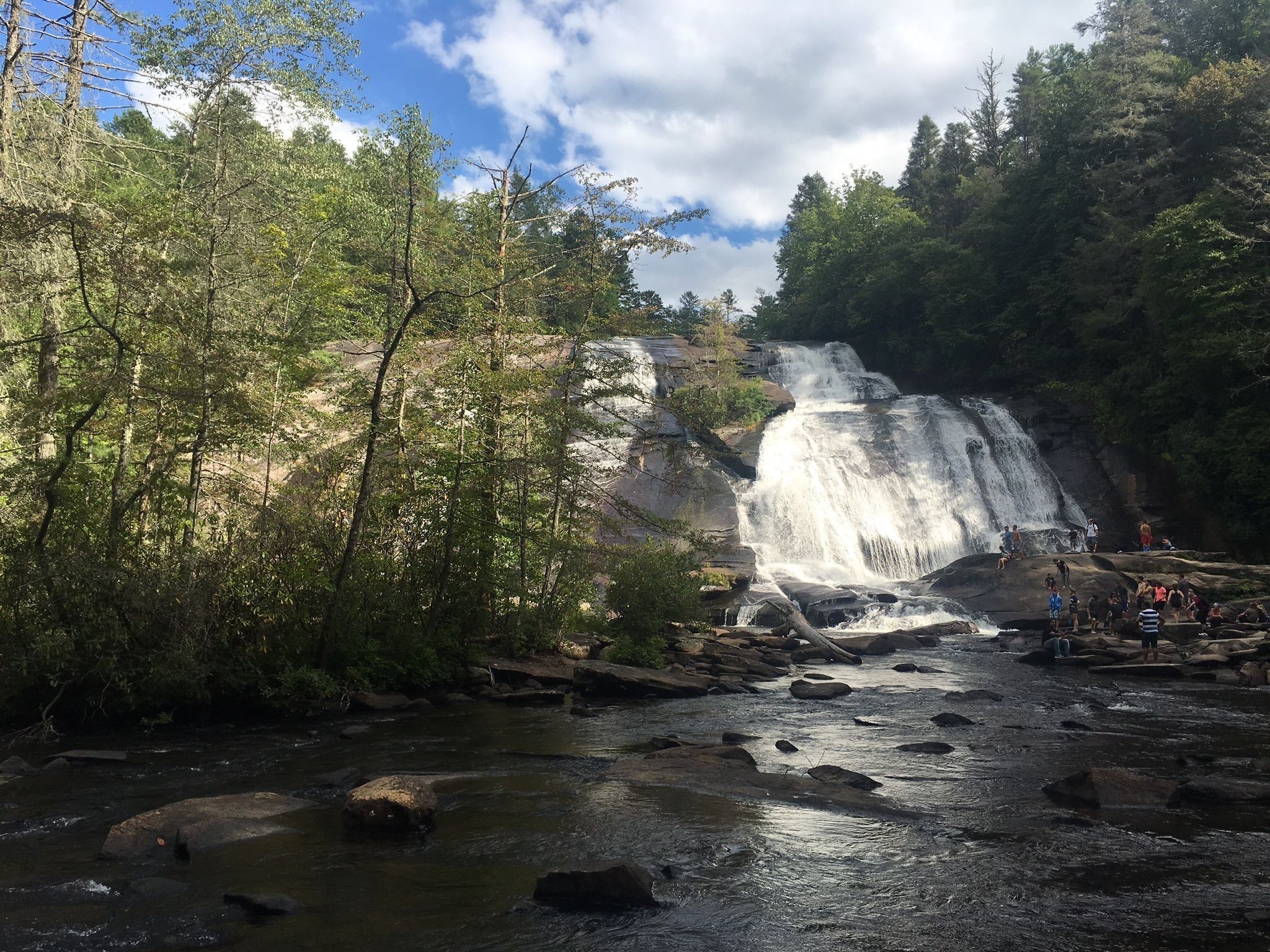 Una cascata circondata da alberi e rocce.