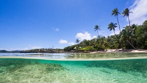 A tropical beach with clear turquoise waters, palm trees, and a sandy shore. - Savasi Island Resort (Savusavu)