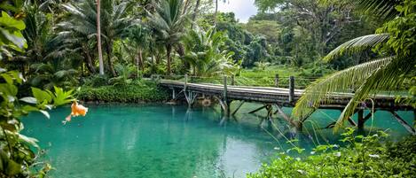 A bridge over a turquoise lake surrounded by lush greenery.