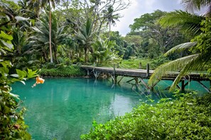 A bridge over a turquoise lake surrounded by lush greenery. - Savasi Island Resort (Savusavu)