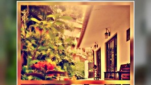 Un pasillo con vista a un jardín, un banco de madera y una puerta con ventana.
